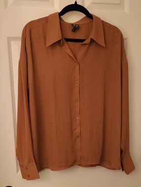 Classic Women's Chiffon Tan Camel Brown Nude Sheer Button-Down Shirt